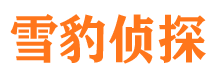 秦淮市私家侦探